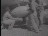 Thumbnail 24