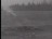 Thumbnail 36