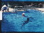 Thumbnail 24