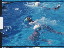 Thumbnail 25