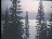 Thumbnail 27