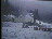 Thumbnail 29
