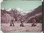 Thumbnail 26