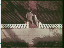 Thumbnail 43