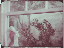 Thumbnail 21