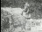 Thumbnail 22