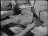 Thumbnail 22