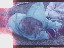 Thumbnail 25