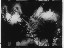 Thumbnail 21