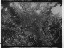 Thumbnail 23