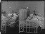 Thumbnail 25