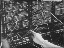 Thumbnail 24