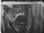 Thumbnail 19