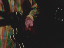 Thumbnail 25