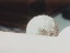 Thumbnail 29