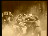 Thumbnail 62