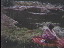 Thumbnail 41