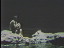 Thumbnail 64