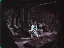 Thumbnail 22