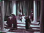 Thumbnail 25