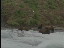 Thumbnail 22