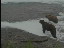Thumbnail 46
