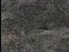 Thumbnail 16