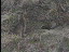 Thumbnail 21