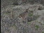 Thumbnail 23