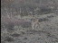 Thumbnail 25