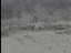 Thumbnail 26