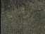 Thumbnail 35