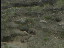 Thumbnail 40