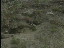 Thumbnail 41