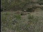Thumbnail 46
