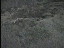 Thumbnail 60