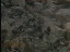 Thumbnail 23