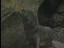 Thumbnail 24