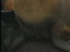 Thumbnail 25
