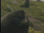 Thumbnail 28