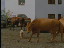 Thumbnail 38