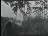 Thumbnail 17