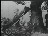 Thumbnail 43