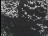Thumbnail 80