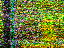 Thumbnail 20