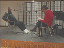 Thumbnail 47