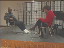 Thumbnail 60