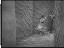 Thumbnail 68