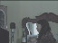 Thumbnail 65