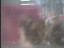 Thumbnail 22